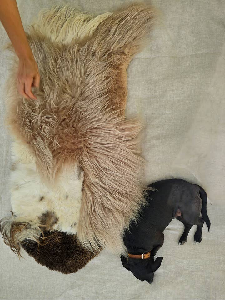 Géo 1 pour la vente par Seven Sundays Studios