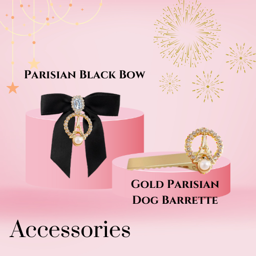 Bark Fifth Avenue - Wholesale Haaraccessoire - Hond - Gouden Parijse Hondenhaarspeld1