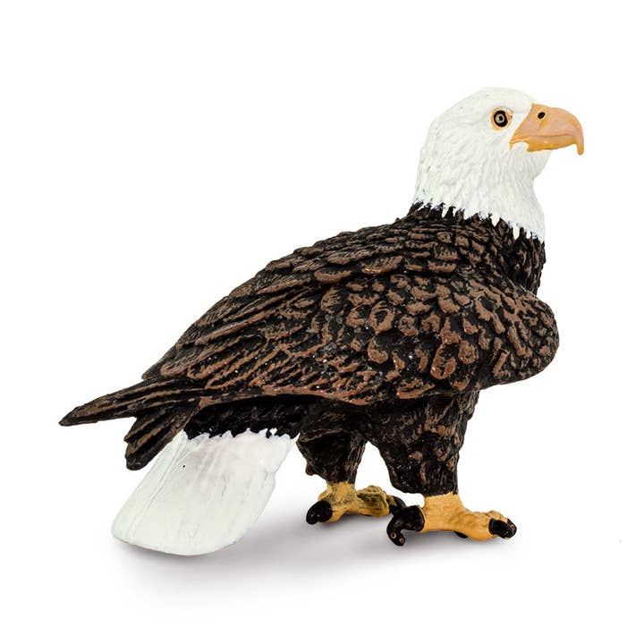 Safari Ltd. - Wholesale Figurine Toy - Kids - Bald Eagle Figurine Toy0