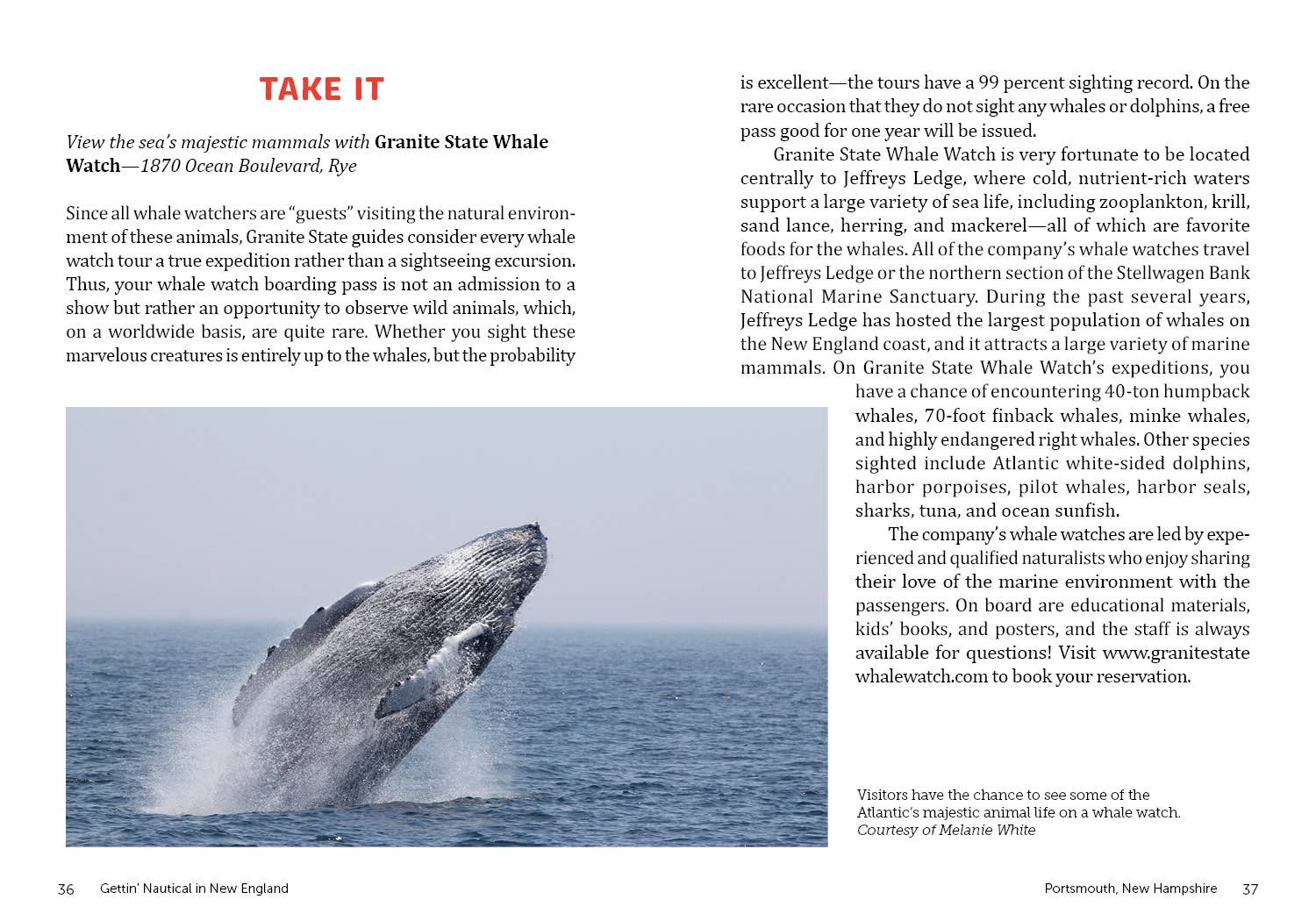 Schiffer Publishing – wholesale Travel – Gettin' Nautical in New England4