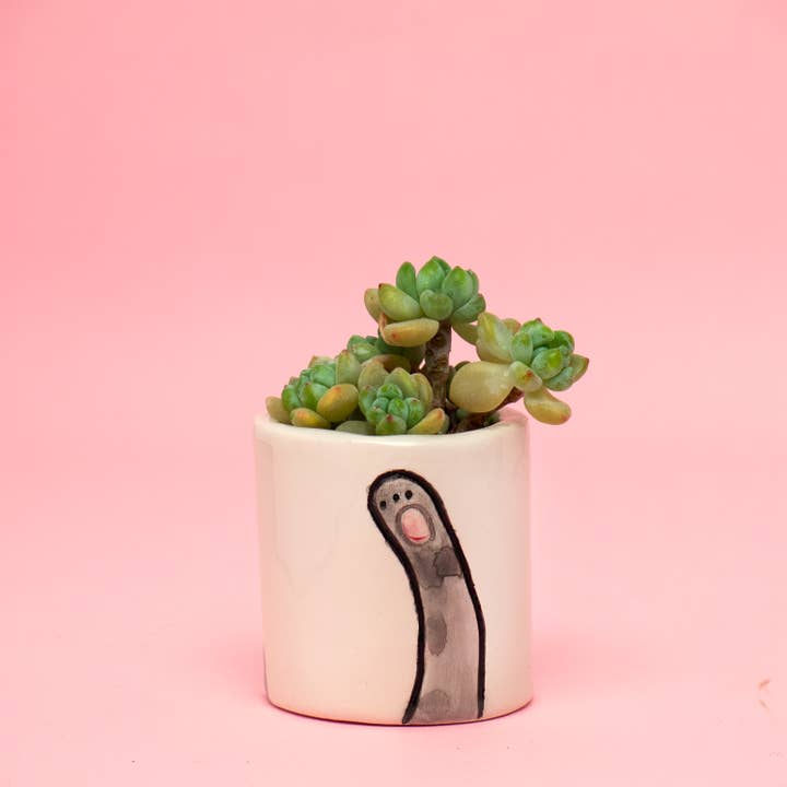 Paulina Marra Ceramics - Venta al por mayor Macetas - Conjunto Gonzalo Trio: Macetas de Gato Artesanales en 3 tamaños5