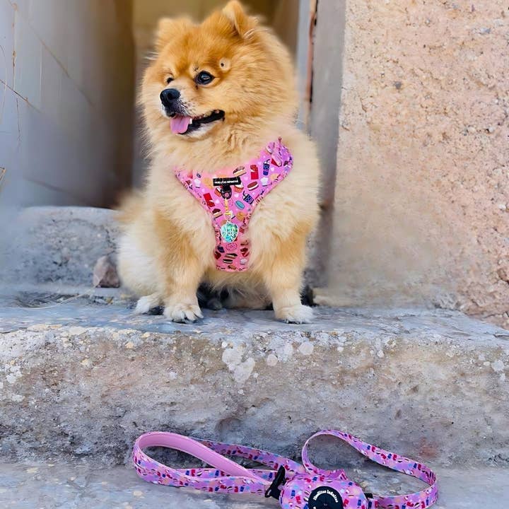HUELLITAS INFINITAS - Wholesale Pet Harness - Dog - Dulces Deseos adjustable harness5