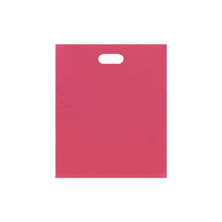 Store Supply Warehouse - Wholesale Gift Bag - Low Density Merchandise Bags38