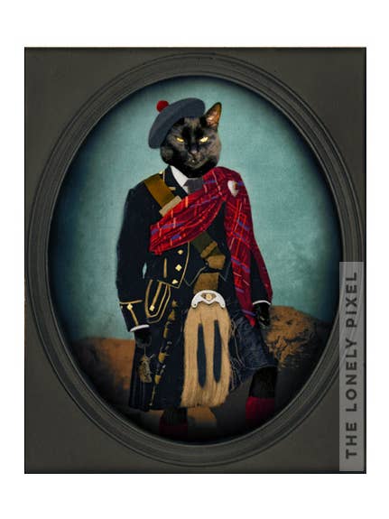 Boris the Bruce - 8x10 Cat Photography Print for wholesale by The Lonely Pixel