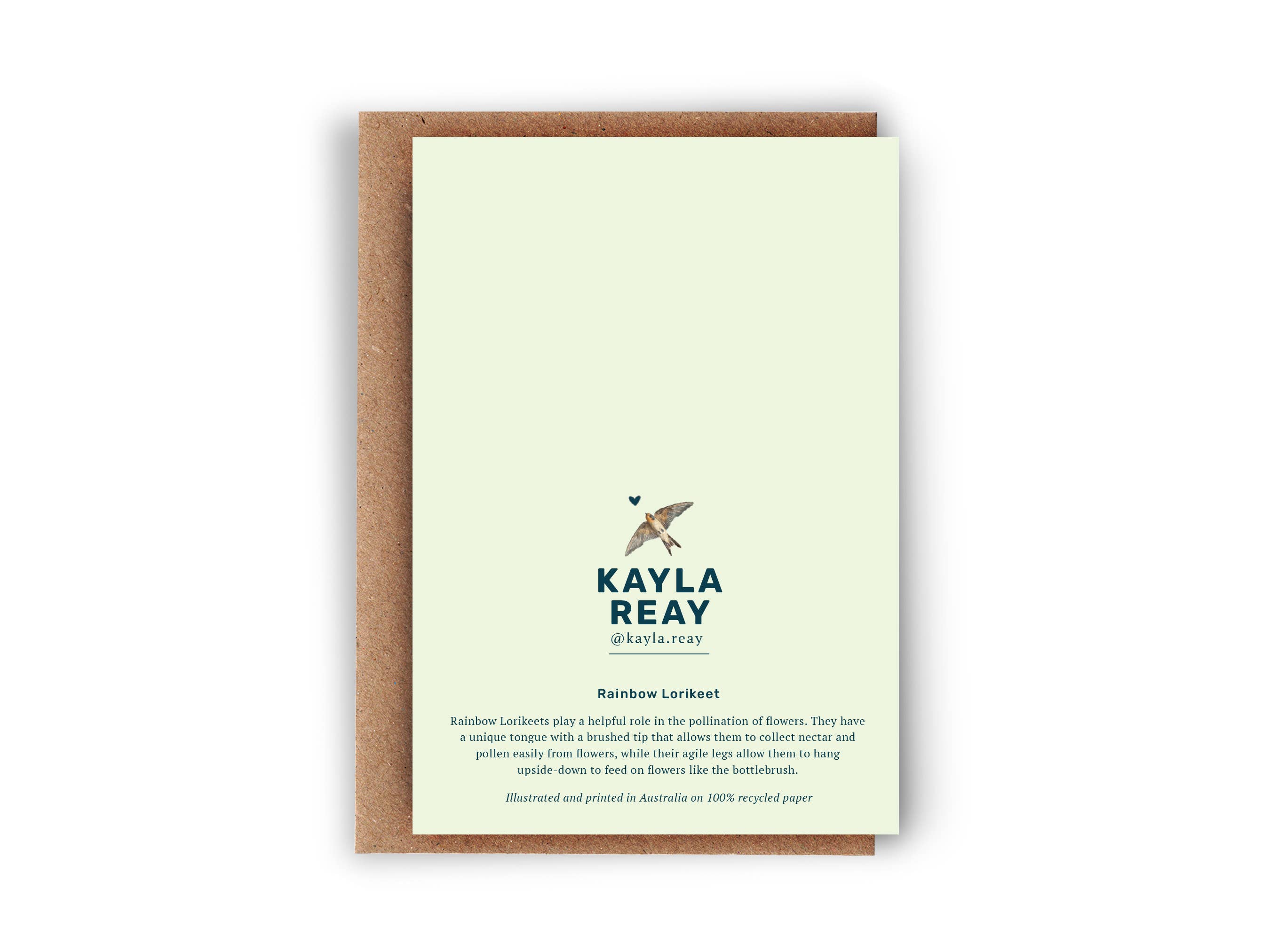 Kayla Reay Design - Wholesale Everyday Greeting Card - Rainbow Lorikeet Greeting Card - Australian Bird Art1