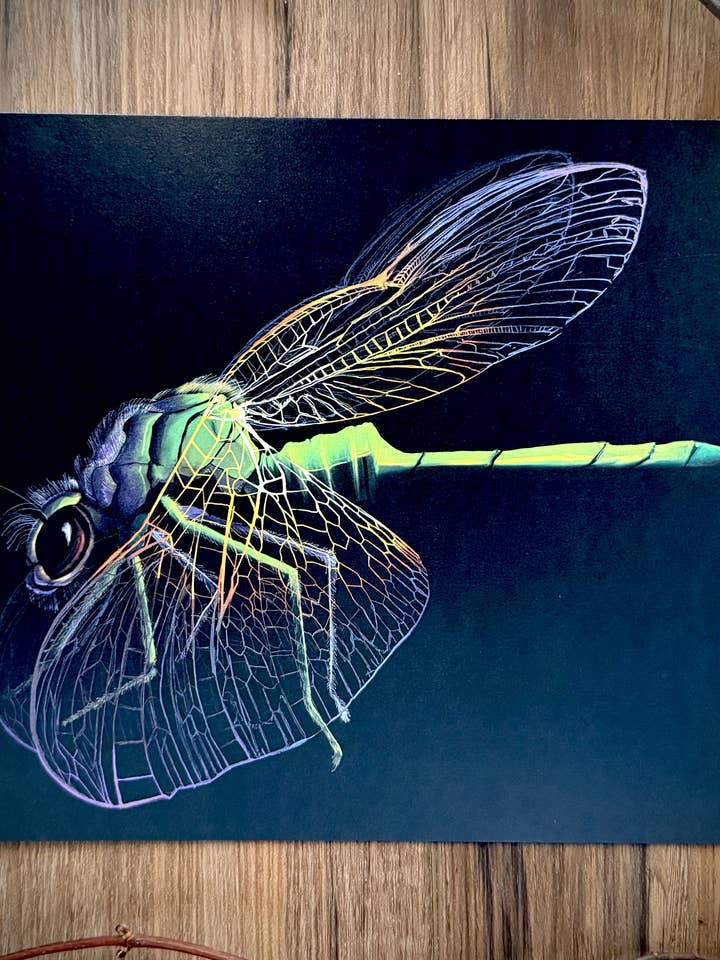 Impression d'art de libellule pour la vente par Signum Somnia