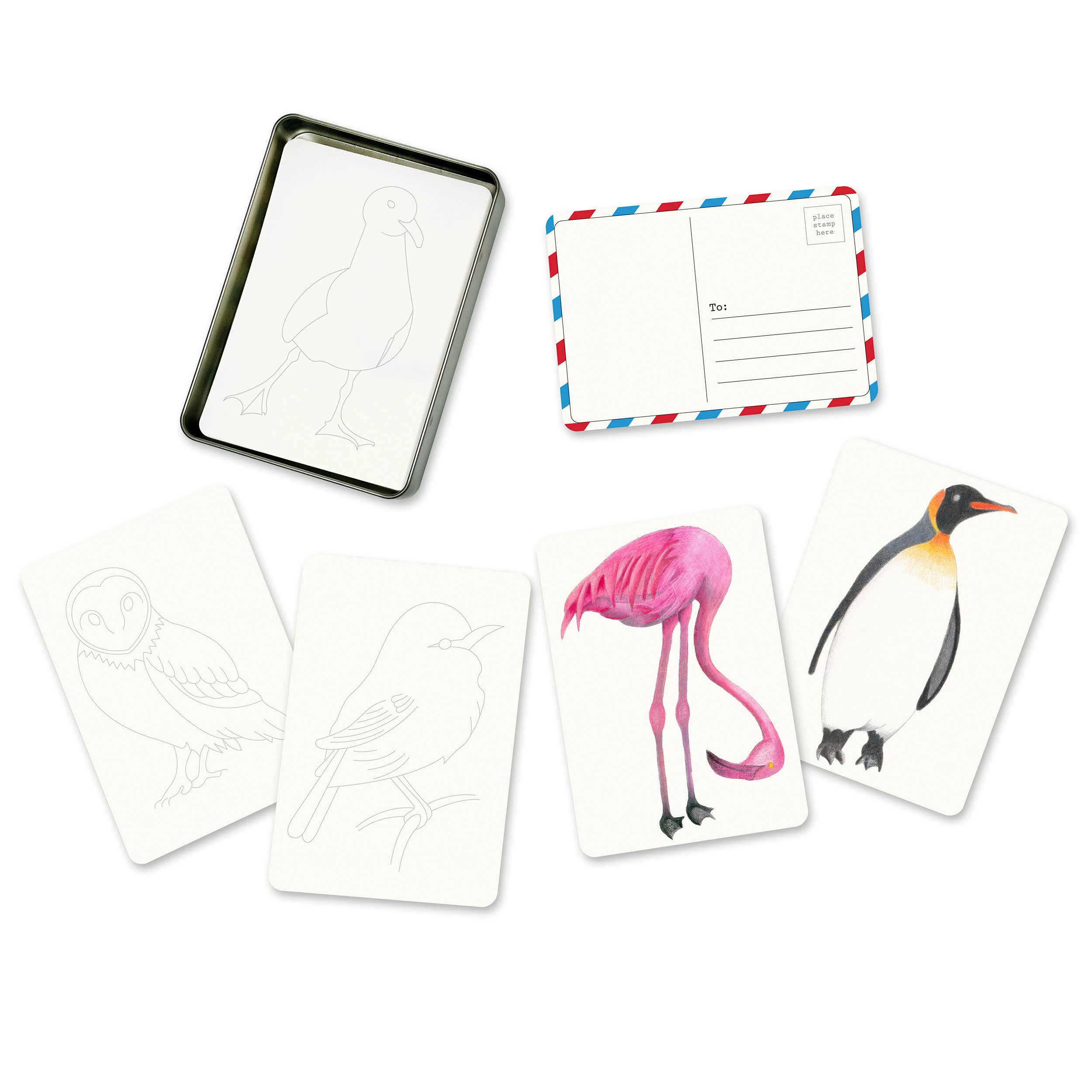 elseware unplug / eco-kids - Wholesale Postcard Set - Coloring Postcards w/ 6 Bird Designs (30cards) Stationary1