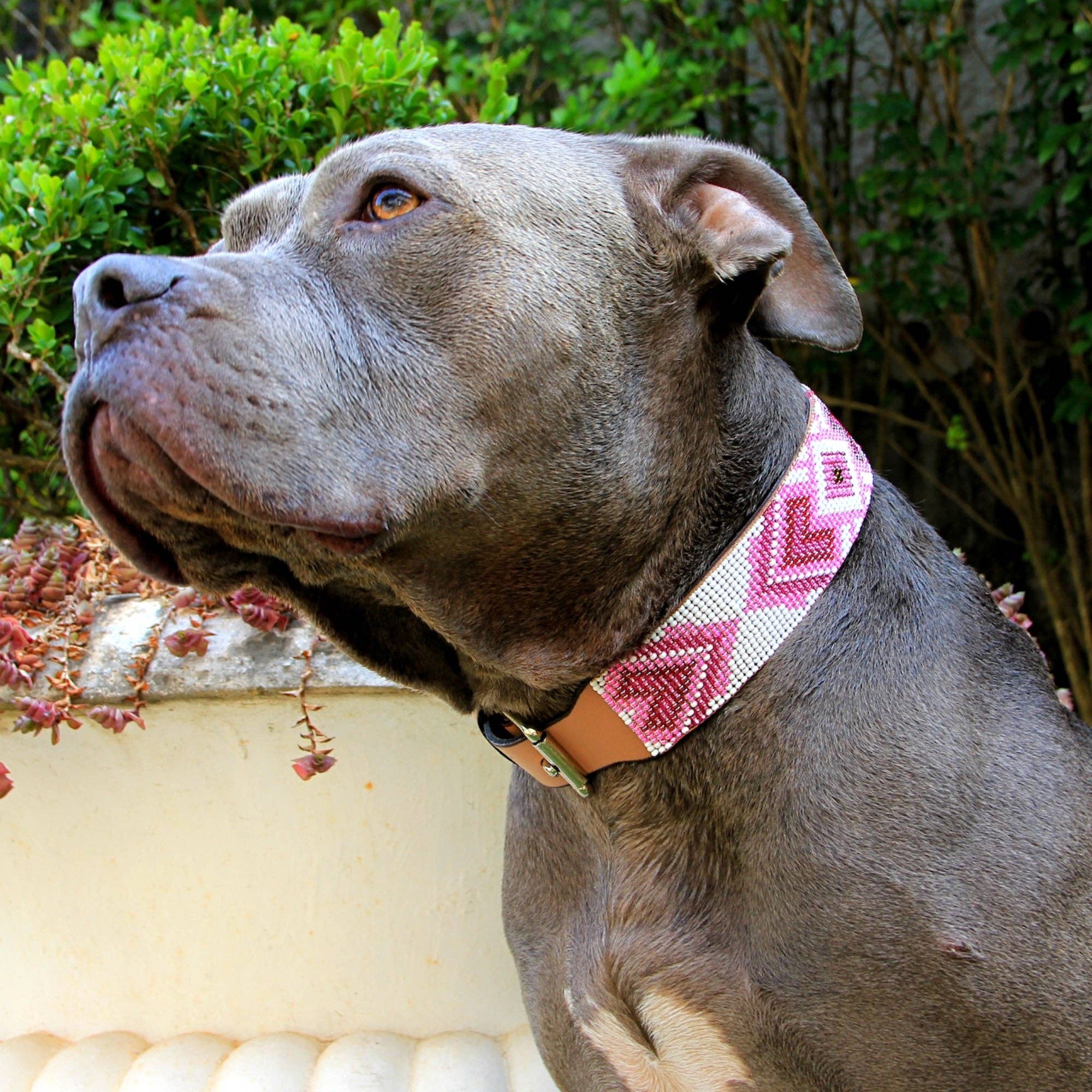 Sambboho - Wholesale Pet Collar - Dog - Paris Sambboho Dog Collar (with Center D-ring)6