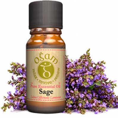 Sauge pour la vente par Ogam Oils