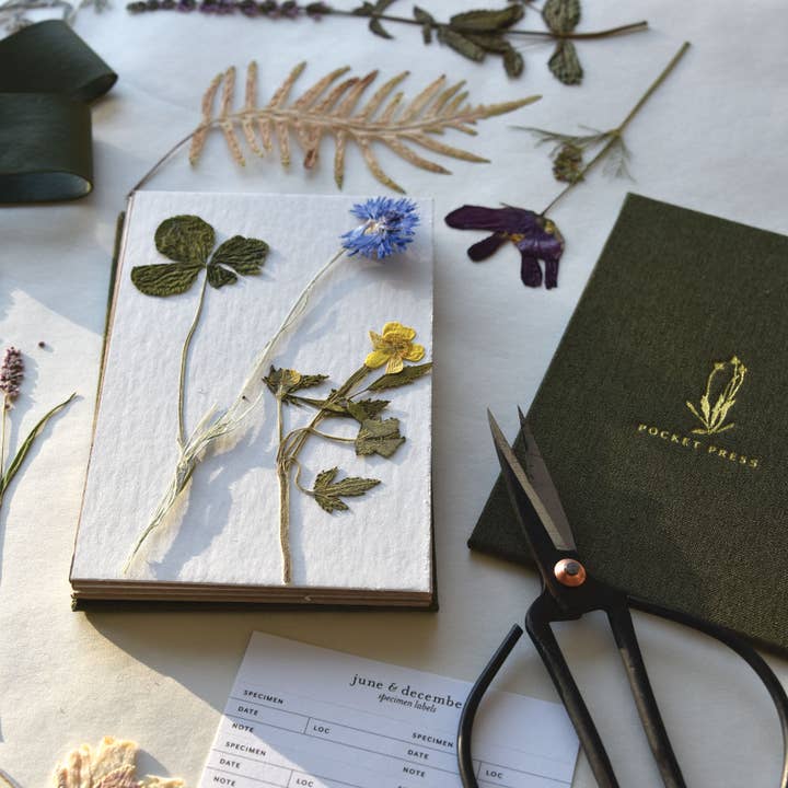 June & December - Wholesale Garden Tool - Field Flower Press