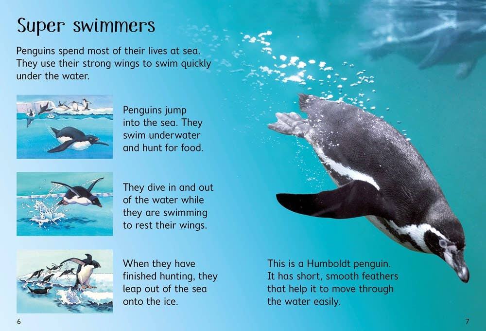 HarperCollins - Wholesale Early Reader Book (6-8) - Penguins : Usborne1