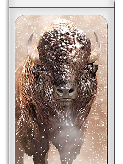 3D Royce Magnet - Bison for wholesale by Artgame Ltd.