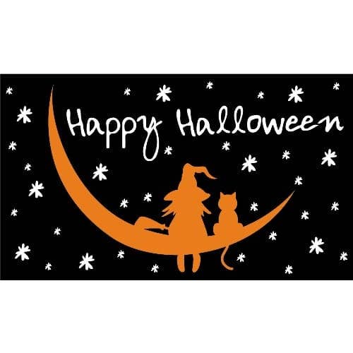 Halloween Witch and Cat 5'x3' for wholesale by Worldwide Flags Ltd