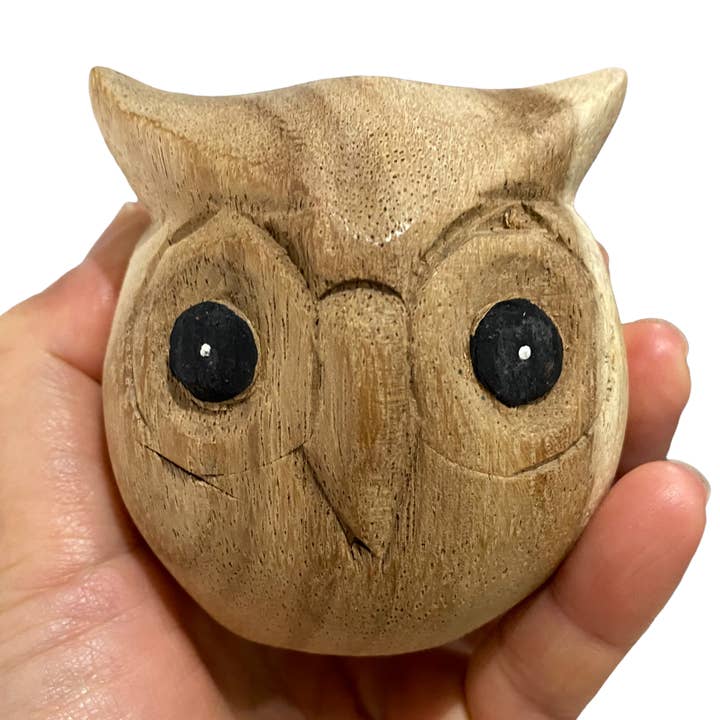 Chouette pygmée pour la vente par Music Frog Co