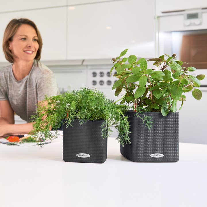 Lechuza Self Watering Planters – Engroshandel Plantekasse – LECHUZA CUBE farve poly harpiks tabel firkantet plantageejer7