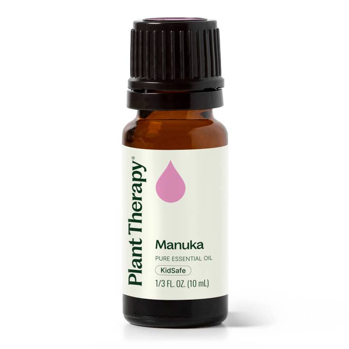 Plant Therapy - Venta al por mayor Aceite esencial - Aceite esencial de manuka 10 ml