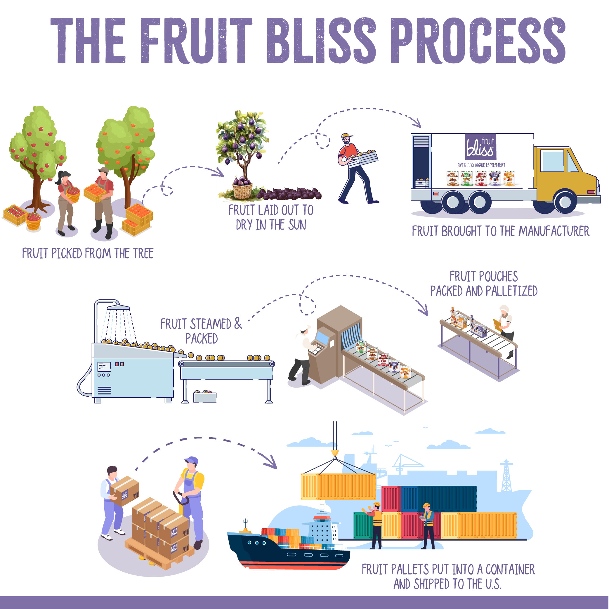 Fruit Bliss - Venta al por mayor Fruta deshidratada - Mini albaricoques turcos orgánicos suaves y jugosos5