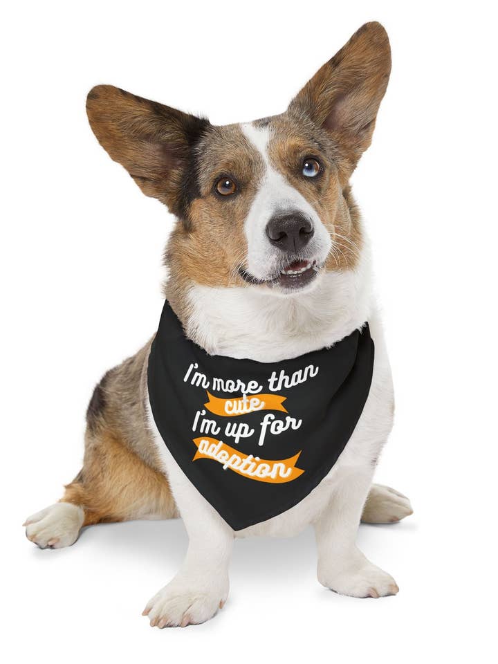 I'M MORE THAN CUTE for wholesale by RescueHaus Shop