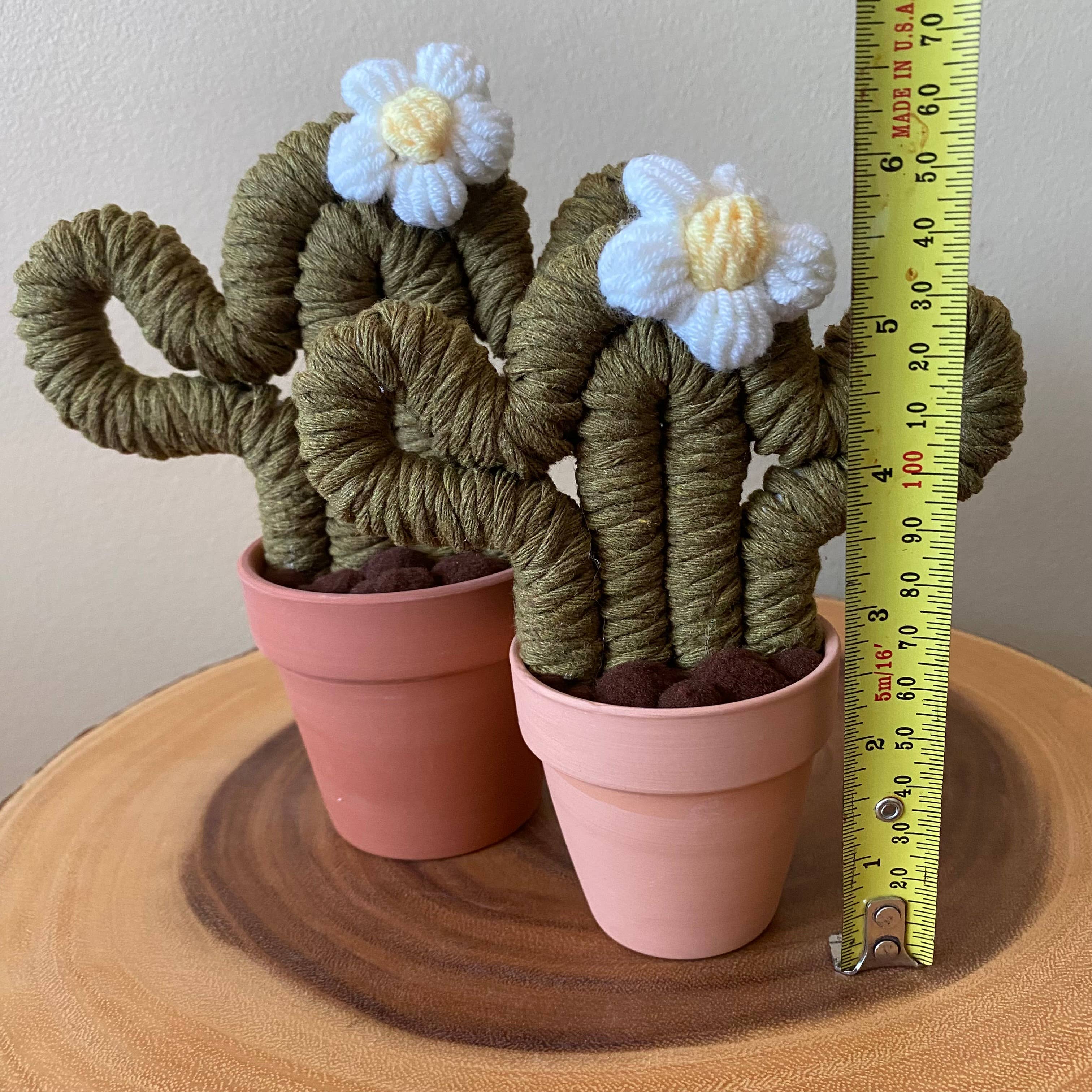 ForgetBKnot - Vente Plantes artificielles - Plante Éternelle Cactus en Macramé (Moyen & Petit)9