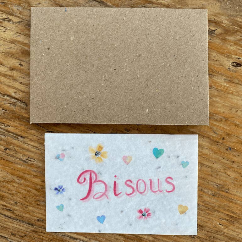 Les cartes de Lulu - Wholesale Envelopes - Mini kraft envelopes for mini planting cards1