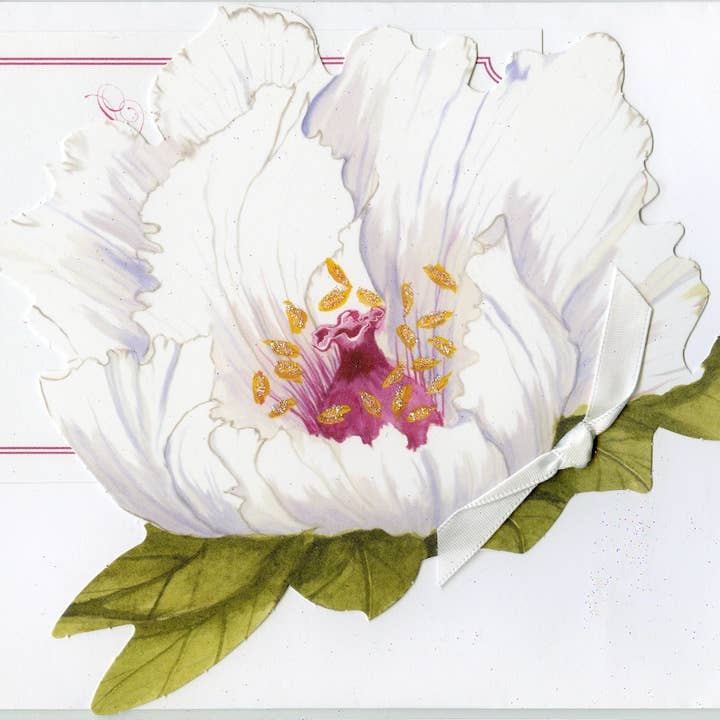 Stevie Streck Designs - Wholesale Everyday Greeting Card - Greeting Cards (GDie Cut Invitations -AD763)