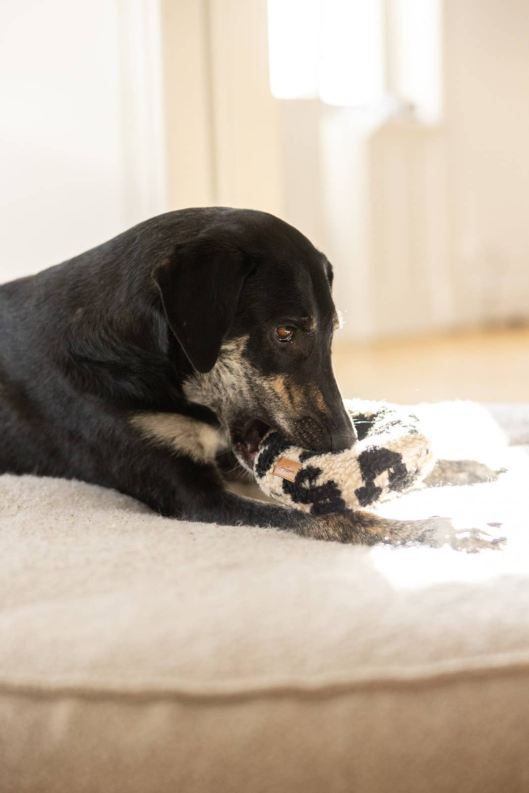 Lieblingspfote – Peluche - Cão por atacado – Crackle Donut Leo - feito à mão1