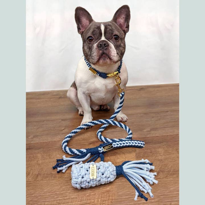 Rocky's Pet Products - Wholesale DIY Craft Kit - Make Your Own Dog Lead Craft Kit Blue