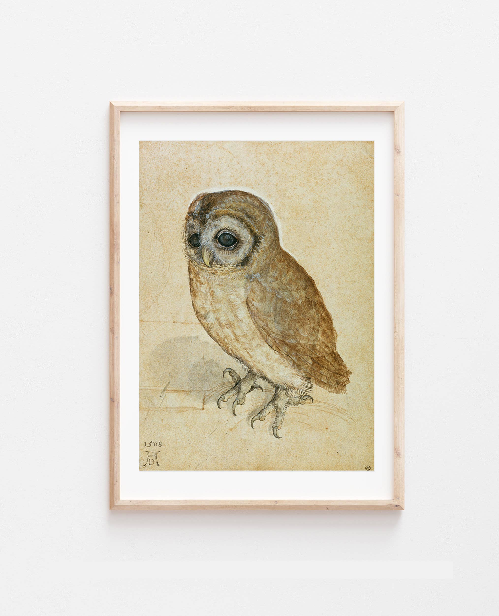 Go To Design - Wholesale Art Print - Fine art print Little Owl by Durer unframed wall art2