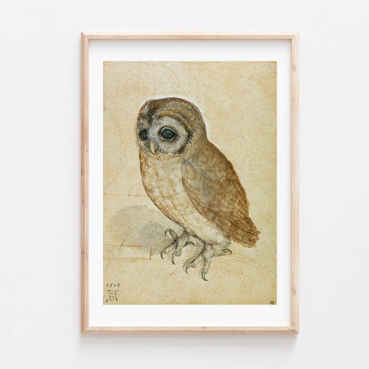 Go To Design - Wholesale Art Print - Fine art print Little Owl by Durer unframed wall art2