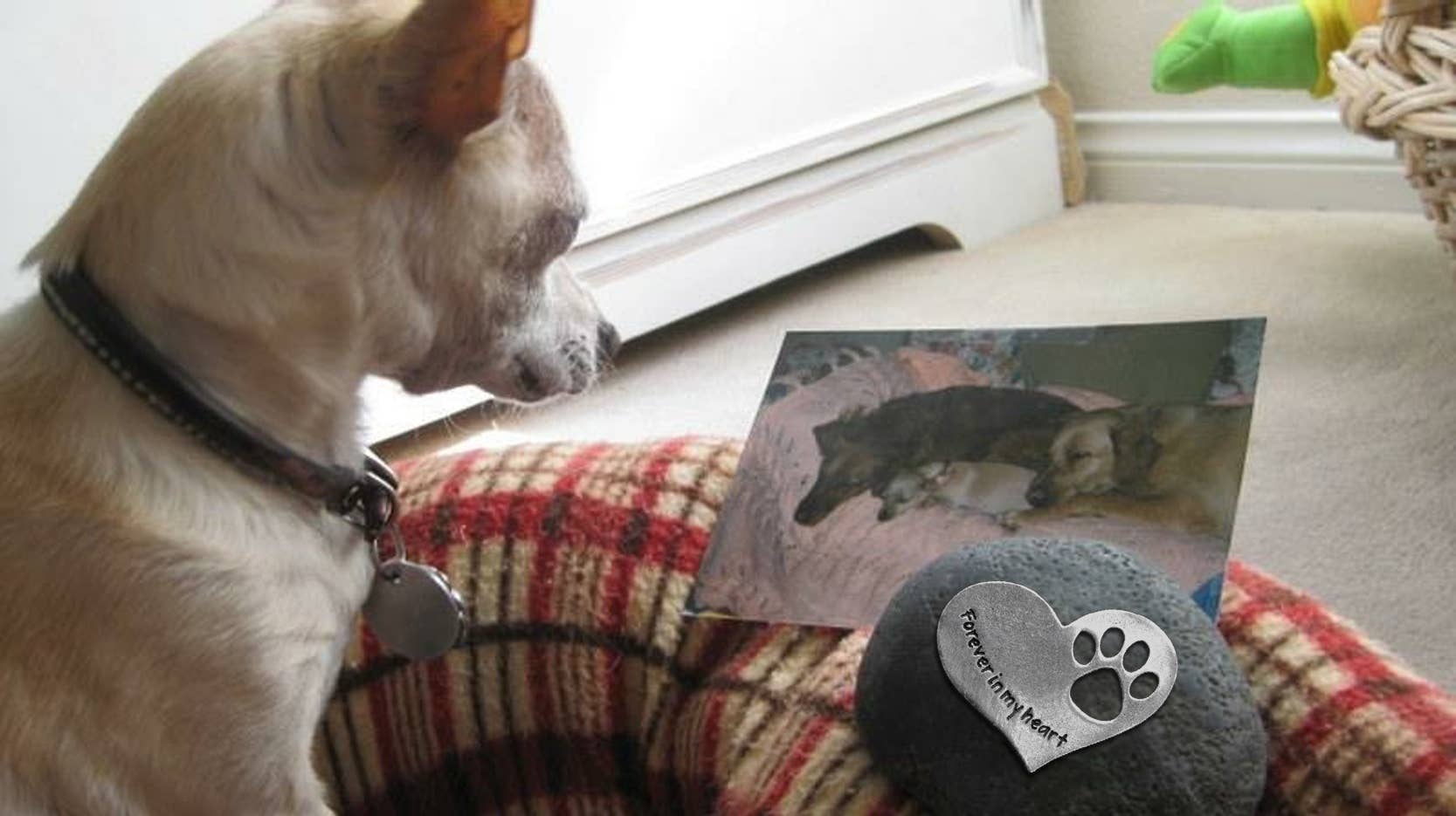 Whitney Howard Designs - Wholesale Pet Urn/Keepsake Box - In Loving Memory pet memorial stone with pewter heart gift!1