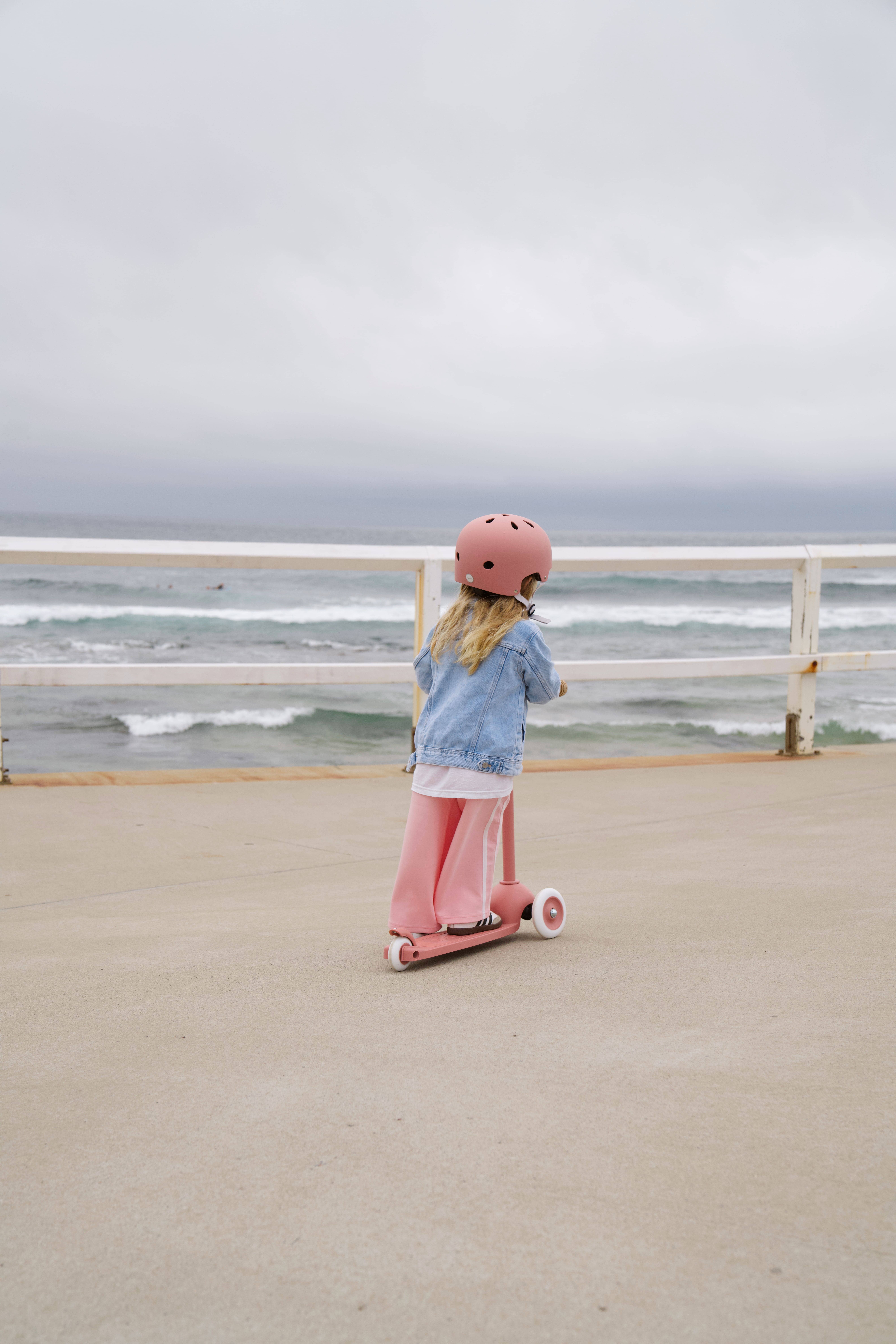 Banwood SL Europe - Vendita all'ingrosso Bicicletta/monopattino - Monopattino Eco Banwood - Lamponi4