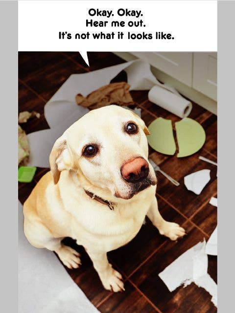 Fathers Day From The Dog | AGTC | MD | SF06940539T for wholesale by DICKENS INC.