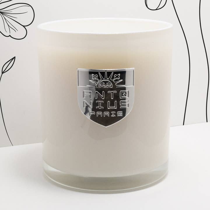 Nacht in Paris für den Großhandel von Maison Antonius