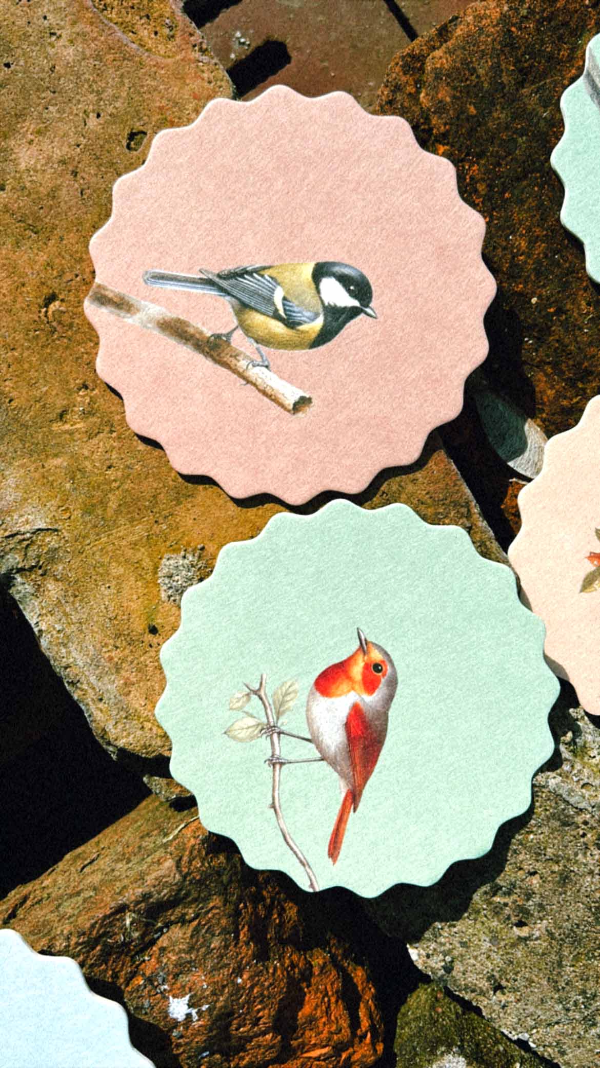 30x40 - Wholesale Onderzetters - Set van 10 onderzetters met vogelmotieven 🦉🦜🐦9