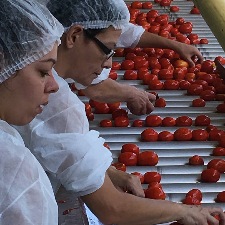 CONSERVES GUINTRAND - Wholesale Sauce - Frita "Méditerranéenne" 4/44