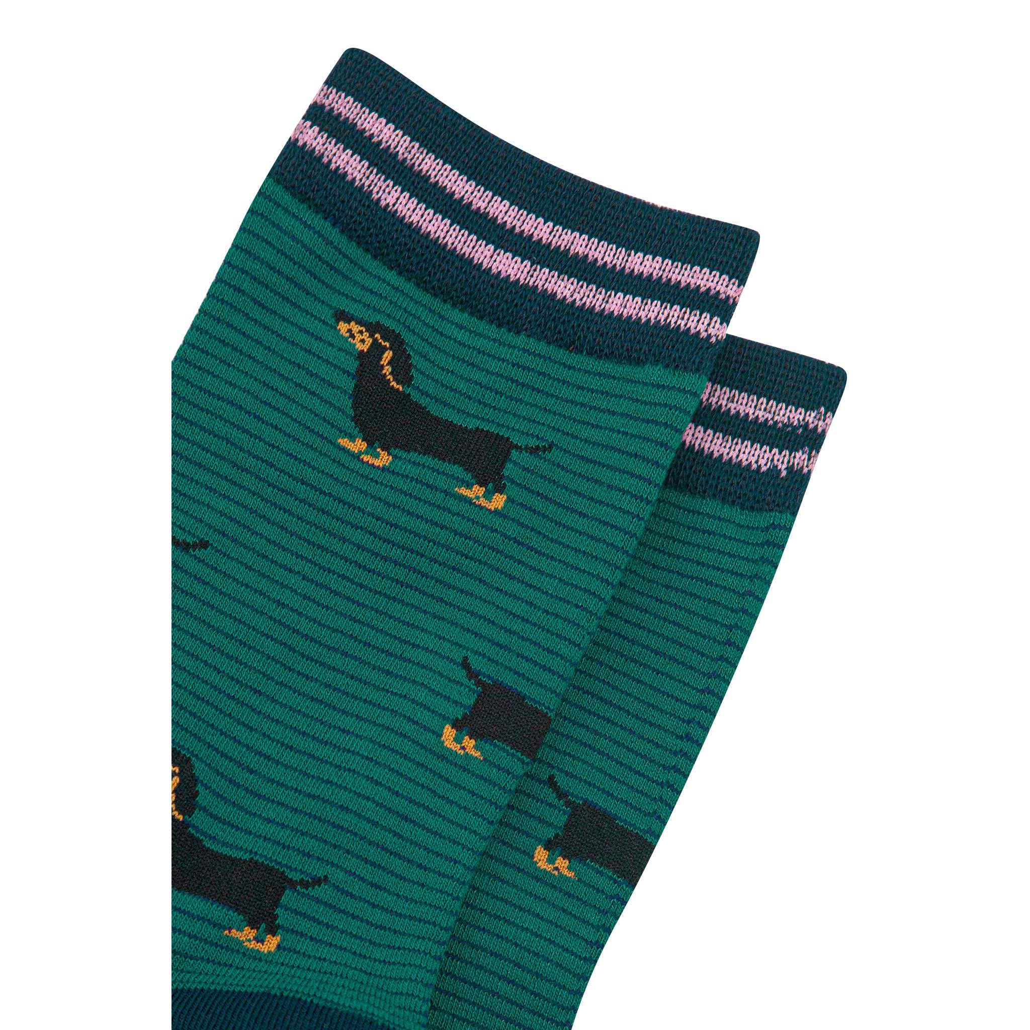 Sock Talk - Wholesale Socks - Women's - Women's Bamboo Socks - Green/Navy Blue, Sausage Dog Stripe2