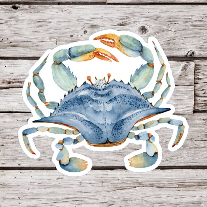 Blue Crab Sticker, Crab Sticker, Ocean Sticker for wholesale by NatureCuts