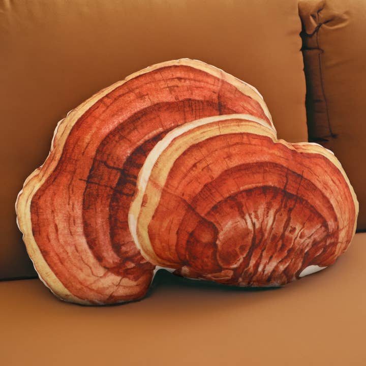 Realistisk Reishi-svampepude for engroshandel hos The Mushroom Muse
