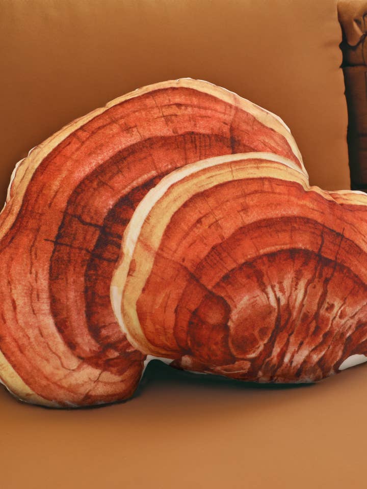 Realistic Reishi Mushroom Pillow ( small) for wholesale by The Mushroom Muse