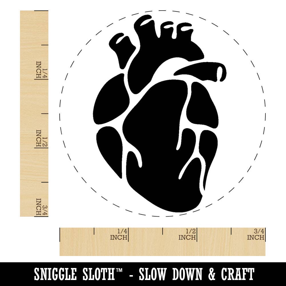 Sniggle Sloth - Wholesale Rubber/Decorative Stamp - Realistic Heart Four Chambers Anatomy Biology Love Science Rubber Stamp for Stamping Crafting Planners1