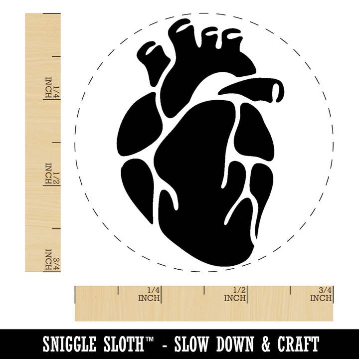 Sniggle Sloth - Wholesale Rubber/Decorative Stamp - Realistic Heart Four Chambers Anatomy Biology Love Science Rubber Stamp for Stamping Crafting Planners1