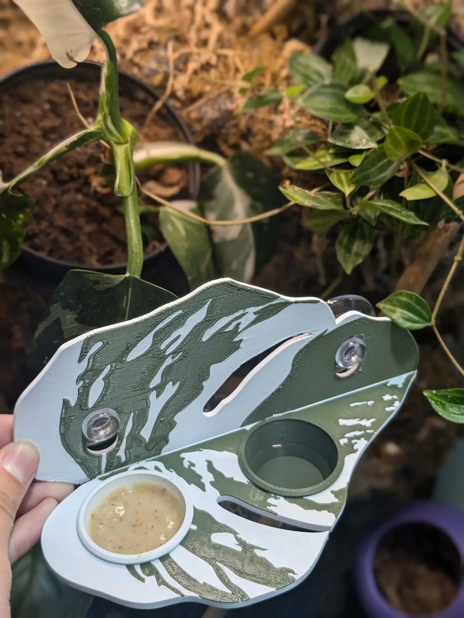 Jinx and Luna Exotics - Wholesale Pet Bowl - Cat/Dog - Monstera Albo Reptile Feeding Ledge1