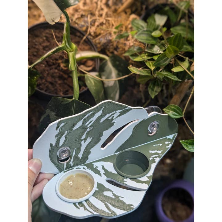 Jinx and Luna Exotics - Wholesale Pet Bowl - Cat/Dog - Monstera Albo Reptile Feeding Ledge1