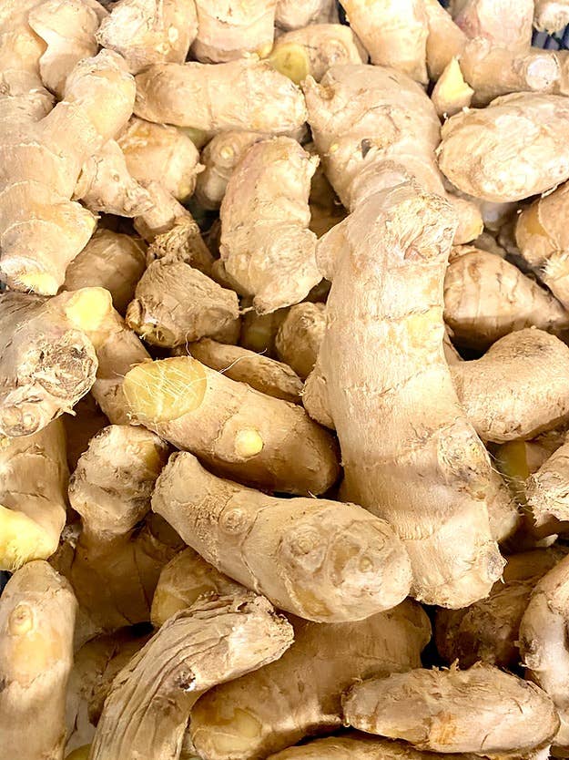 Weymouth 51 Hot Sauces - Wholesale Tincture - Dorset Fire Tonic® Mild 500ml4