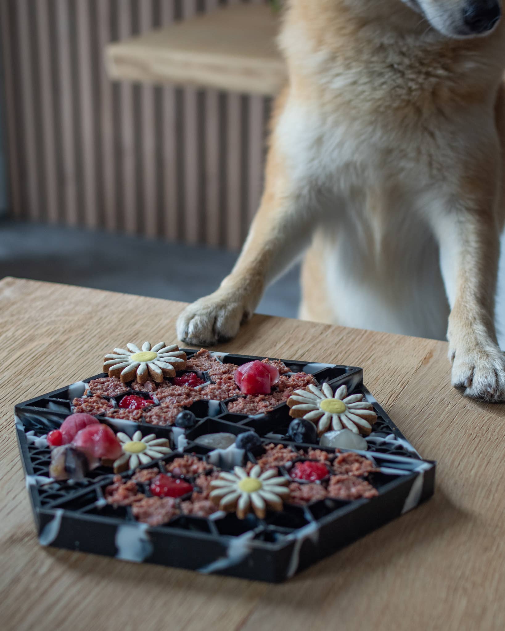 LIEVICK - Wholesale Pet Food Mat - Dog - LIEVICK Lick mat | Black & White4