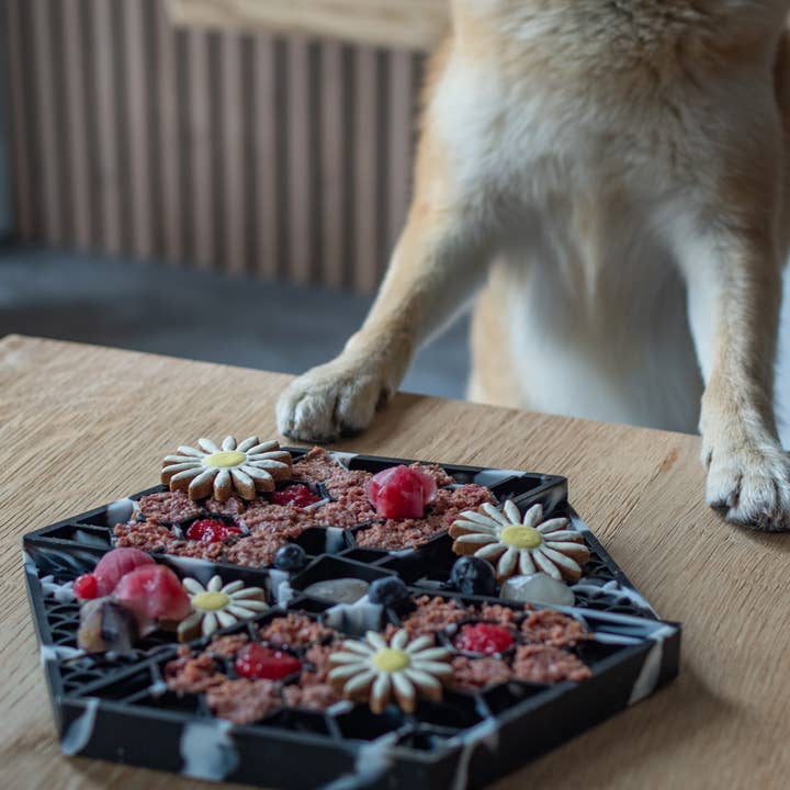 LIEVICK - Wholesale Pet Food Mat - Dog - LIEVICK Lick mat | Black & White4