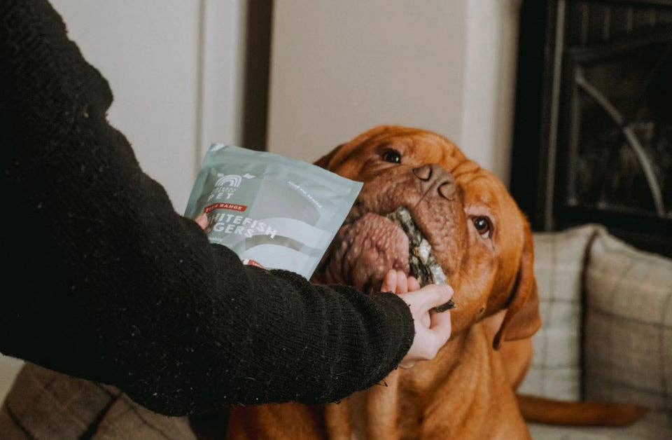 The Pets Larder – wholesale Pet treats – Dog – Cornish Fish Fingers - Natural Dog Treats4