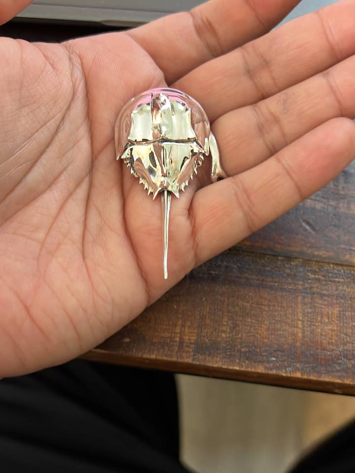 Massiv 3D sterling sølv hestesko krabbe lavet med exoskelet for engroshandel hos OOTBmaine