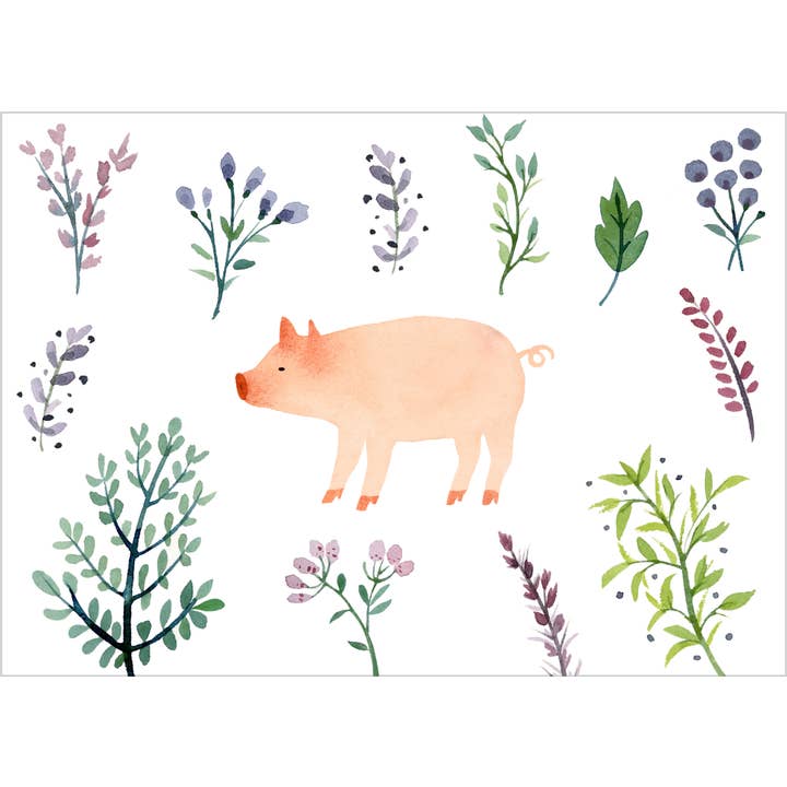 Pig Card: Plants for wholesale by Fomato