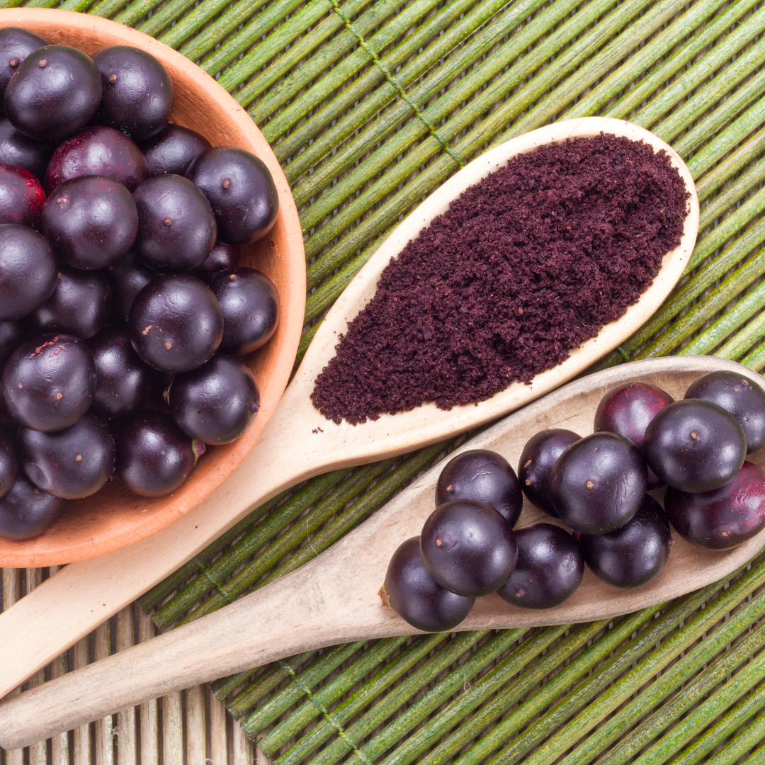 Herb To Body – Großhandel Protein-/Superfood-Pulver – Acai-Beerenpulver – 113 g – Herb To Body1